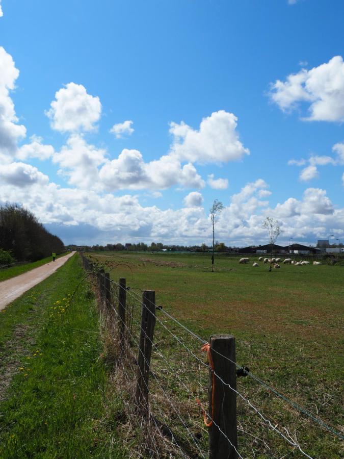Polderlodge Hillegom Exteriér fotografie